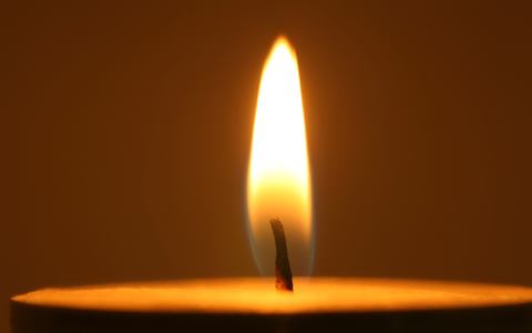 Cambridge's Holocaust Memorial Day Programme
