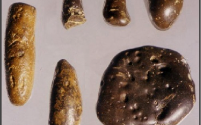 Coprolite Mining