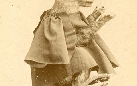 Charles Darwin's Stuffed Monkey