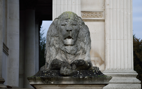 D) Fitzwilliam Lions