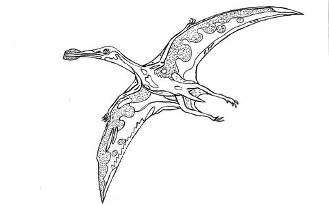 Flying Reptiles and Dinosaur Poo found in ‘Cambridge Greensand’