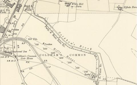 Coldham’s Common